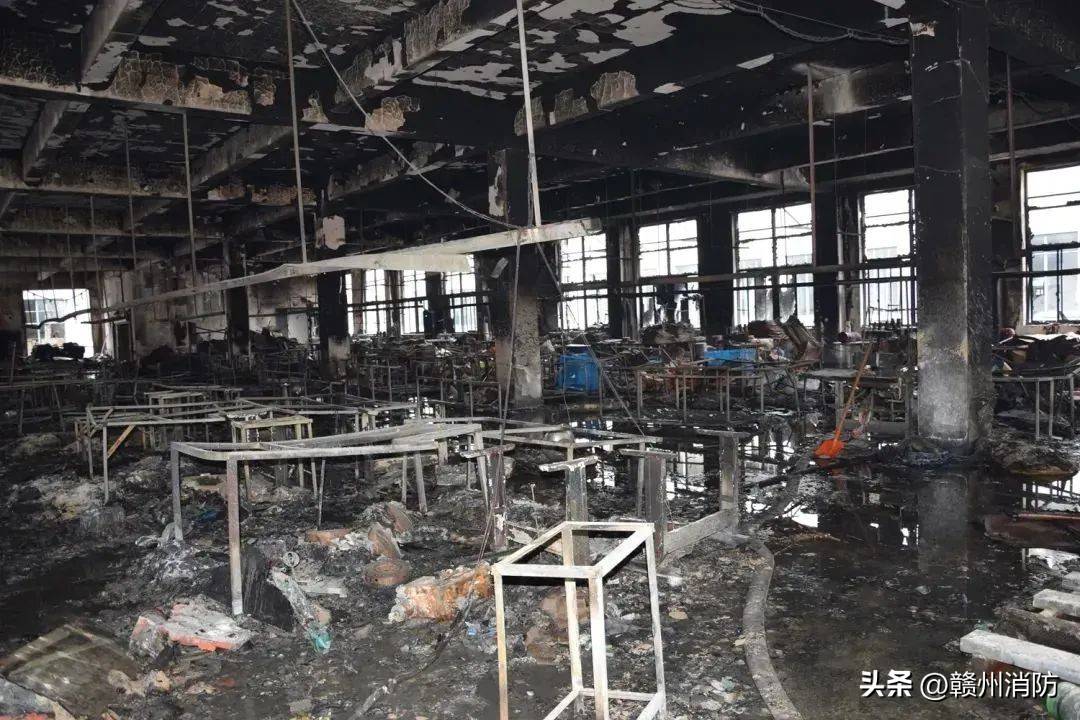 只鹌鹑火灾中惨遭毒手竟因→麻将胡了试玩模
