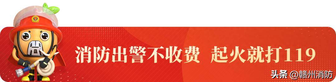 只鹌鹑火灾中惨遭毒手竟因→麻将胡了试玩模拟器赣州万(图2)