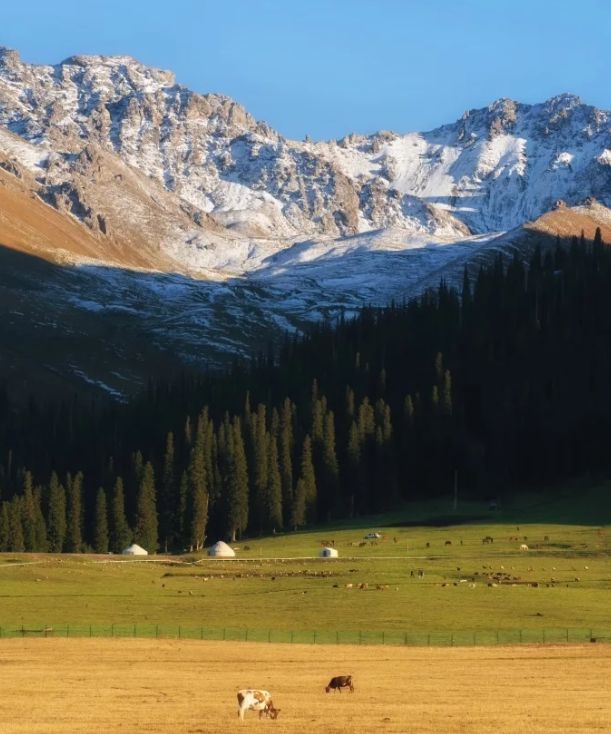 木湖六日游跟团游 路线行程全解避坑不踩雷麻将胡了电子游戏10月从成都去新疆赛里(图2)
